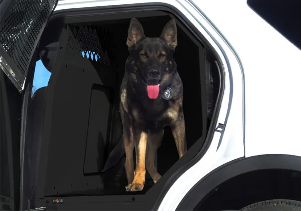 [K9-F18-PT-B] - OBSOLETE – K9 Prisoner Transport System For 2013-2019 Ford Interceptor Utility – Black