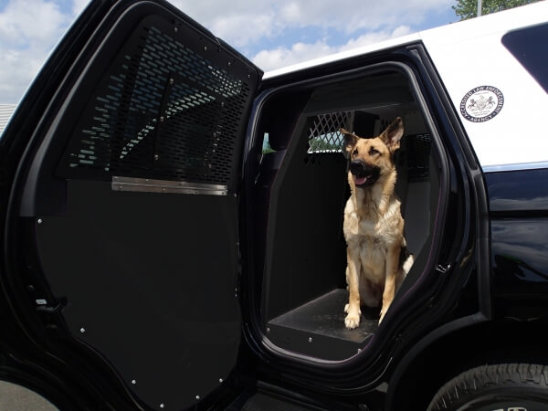 [K9-F27-1-B] - Standard K9 Transport System For 2018-2024 Ford Expedition – Black